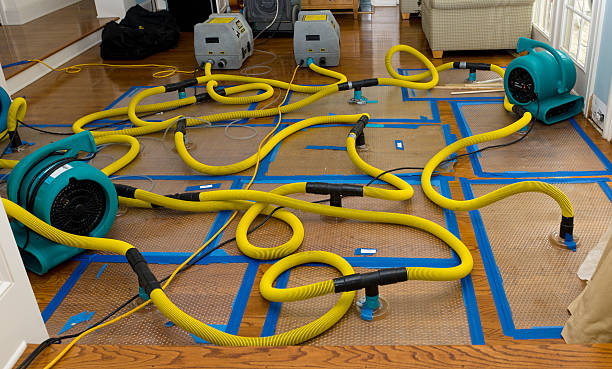 Professional Storm Water Damage Restoration technician working in Brownfield, TX